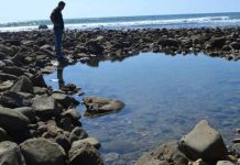 Arqueólogos de la UAH y el Instituto Nacional de Patrimonio Cultural de Ecuador investigan los corrales marítimos de Ligüiqui (Ecuador), únicos en el mundo arqueologos-de-la-uah-y-el-instituto-nacional-de-patrimonio-cultural-de-ecuador-investigan-los-corrales-maritimos-de-liguiqui