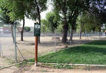 Ya está en funcionamiento la mayor área canina de Alcalá de 4.130 metros cuadrados ya-esta-en-funcionamiento-la-mayor-area-canina-de-alcala-de-4-130-metros-cuadrados