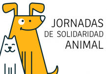 Nueva Jornada de Solidaridad Animal el 22 de septiembre en la Plaza de Palacio nueva-jornada-de-solidaridad-animal-el-22-de-septiembre-en-la-plaza-de-palacio