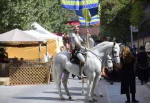 Día grande en Alcalá de Henares en homenaje a su hijo más ilustre: Miguel de Cervantes dia-grande-en-alcala-de-henares-en-homenaje-a-su-hijo-mas-ilustre-miguel-de-cervantes