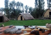 Hasta marzo del 2019. La revolución neolítica. La Draga, el poblado de los prodigios hasta-marzo-del-2019-la-revolucion-neolitica-la-draga-el-poblado-de-los-prodigios