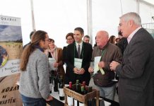 Gran éxito de la V Feria del Vino de Alcalá de Henares gran-exito-de-la-v-feria-del-vino-de-alcala-de-henares