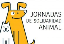 Jornada de Solidaridad Animal, el domingo 3 de marzo en la Casa Tapón jornada-de-solidaridad-animal-el-domingo-3-de-marzo-en-la-casa-tapon