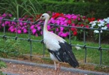 Los colores de la Ciudad de mis andanzas