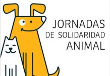 La Casa Tapón acoge este sábado una nueva Jornada de Solidaridad Animal