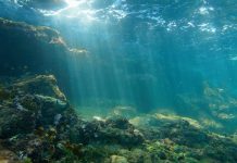 Transforman la fibra óptica del fondo marino en una red sísmica para detectar terremotos