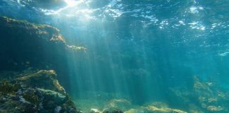 Transforman la fibra óptica del fondo marino en una red sísmica para detectar terremotos