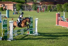 Más de 100 jinetes y 160 caballos participarán en el Concurso Hípico Nacional 3* de Alcalá de Henares 