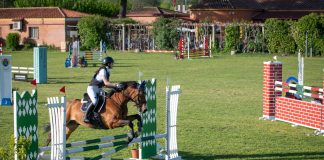 Más de 100 jinetes y 160 caballos participarán en el Concurso Hípico Nacional 3* de Alcalá de Henares 